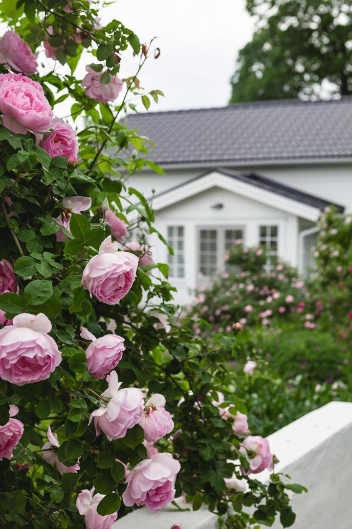 Vallby Cottage เอนเชอปิง ภายนอก รูปภาพ